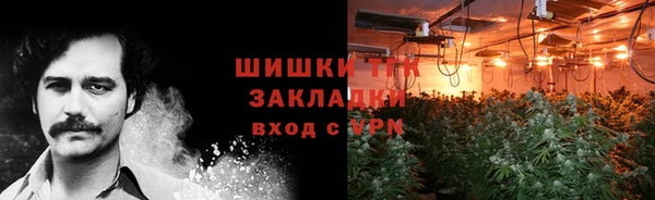 трава Ельня