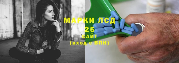 ECSTASY Елизово