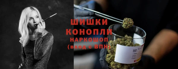 трава Ельня