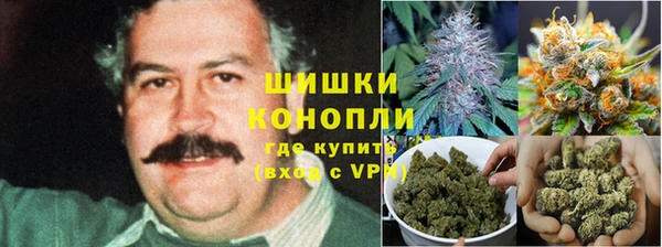 хмурый Липки