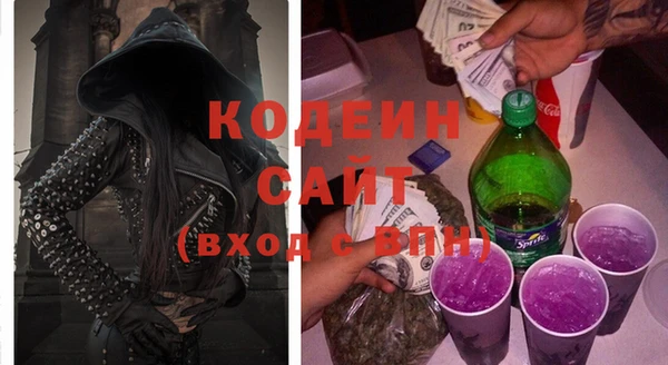 хмурый Липки