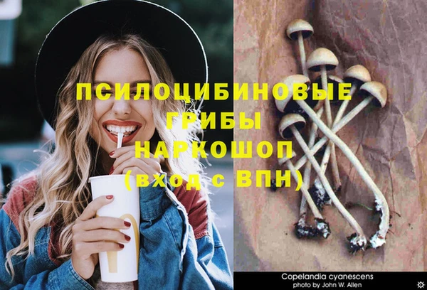 хмурый Липки