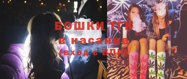 прущие крисы Заводоуковск