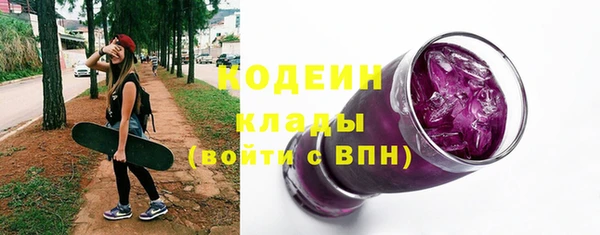 хмурый Липки