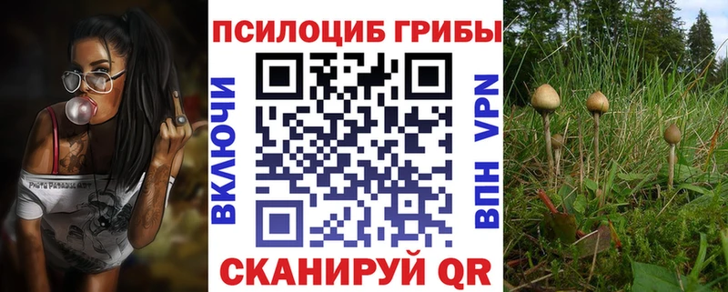 Галлюциногенные грибы Cubensis  как найти наркотики  Звенигово 