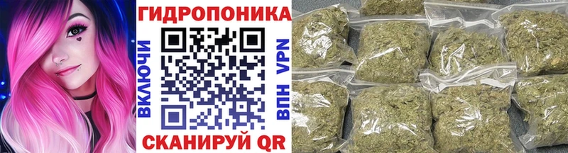 Марихуана гибрид  кракен сайт  Звенигово 